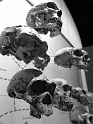 Kids-NYC_AMNH_3-2014 (130)